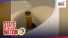 Ahas, sumilip sa inidoro ng isang resort | SONA