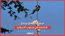 تمساح عملاق يبتلع رجل أعمال في جنوب أفريقيا.. وما عُثر عليه داخل أمعائه صادم