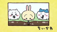 Chiikawa EP266 「湧きドコロ②」
