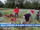 Glanage solidaire : des poireaux contre le gaspillage / Nuclear Day : l&rsquo;industrie nucl&eacute;aire recrute / Don de sang de cordon : un geste vital