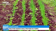 Ferramenta Alerta Geada é ativada pelo Simepar e IDR-PR