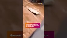 Homem é arrastado por correnteza após enchente em Pernambuco #shorts
