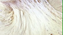 عجينة البيتزا القطنية الأصلية التي تنجح من أول مرة وتناسب كل الفطائر والمناقيش بطريقة سهلة وسريعة