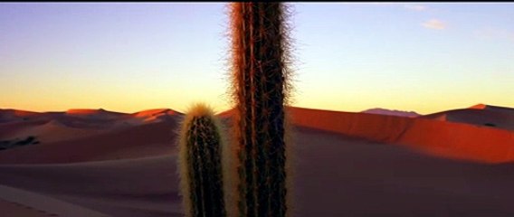 10 minutes relaxing dessert loop