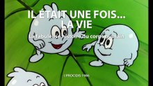 Il était une fois... la Vie - 17 - Les reins - HD 1080
