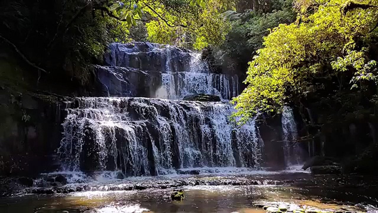Relaxing Sounds of Water & Birds in Nature