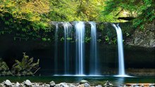 Relaxing Music And Nature Sounds Calm The Mind