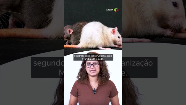 Surto de hantavírus em cruzeiro: OMS suspeita de transmissão de pessoa para pessoa #shorts