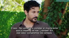 Gelin Capítulo 248 | La Novia | Novela Turca en Español