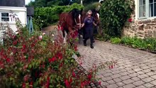 Our Tiny Islands S02E01 H 264