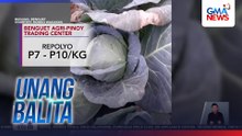 Mga tanim na repolyo, hindi na aanihin ng ilang magsasaka; mas malaki pa raw ang gastos nila kaysa sa mapagbebentahan nito | Unang Balita