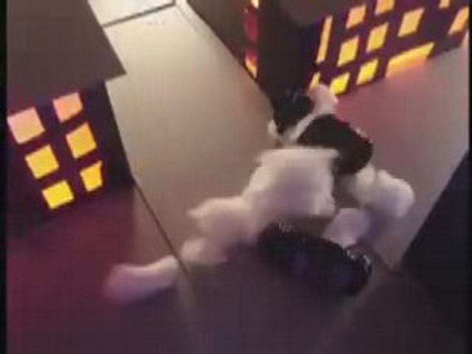 Paper attack