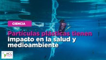 Partículas plásticas tienen impacto en la salud y medioambiente