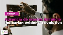 Ausencia de muelas del juicio indicarían evidencia evolutiva