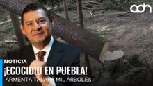 ¡Falso ecologista! Negocio turbo de más de 6 mil millones de pesos.