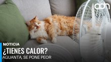 De caluroso a muy caluroso