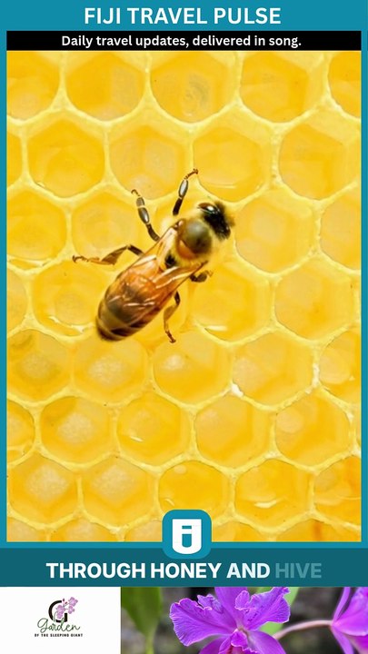 Honey & Hive Fiji | Interactive Bee Experience Opens in Nadi