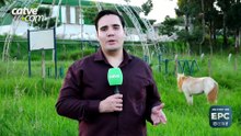 Moradores reclamam de mato alto perto de ecoponto em Cascavel