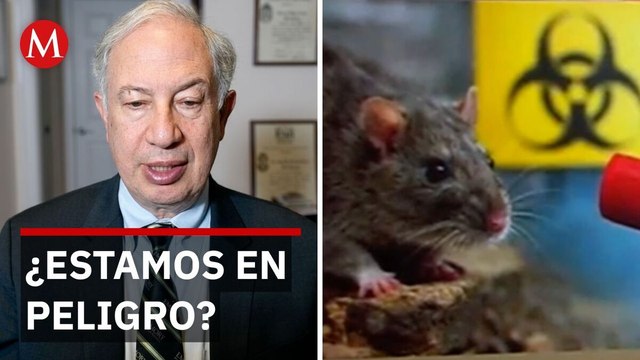 ¿Por qué no debemos entrar en pánico por el hantavirus?
