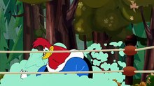 The New Woody Woodpecker Show Saison 1 - NEW EPISODES AVAILABLE NOW! | Woody Woodpecker | Trailer (EN)