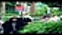 M i l l i o n   F o l l o w e r   D e t e c t i v e   S 0 1 E 0 2 [Full Movie] [Trending]Full EP - Full