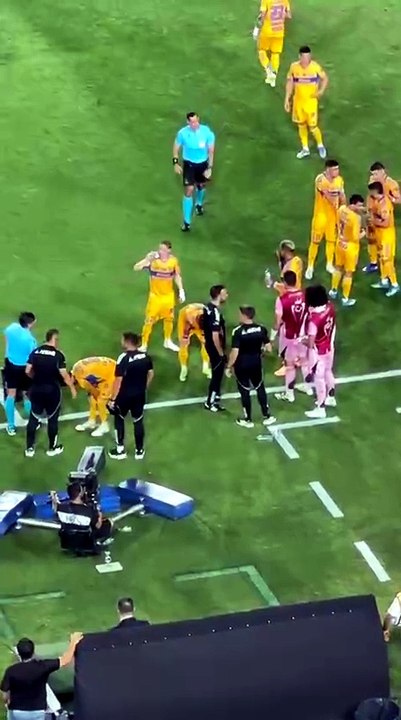 Tigres pierde a Fernando Gorriarán