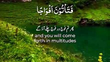Tilawat e quran