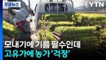 모내기에 기름 필수인데...고유가에 농가 '걱정' / YTN