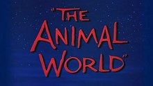 The Animal World (1956)