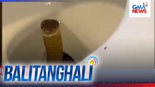 Ahas, bumulaga sa inodoro ng isang resort villa | Balitanghali