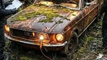 ASMR Deep Clean_ Abandoned 1967 Ford Mustang Fastback 🧽