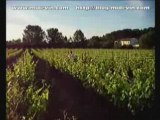 Traitements de la vigne en Languedoc-Roussillon