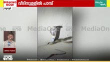 തൃശൂർ മതിലകത്ത് വീട്ടിനുള്ളിൽ നിന്ന് മൂർഖൻ പാമ്പിനെ പിടികൂടി; കണ്ടെത്തിയത് അടുക്കളയിൽ