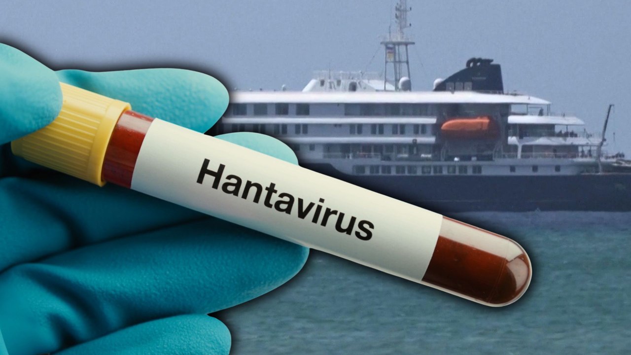 España acogerá finalmente el crucero del hantavirus