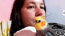 Love pets