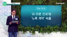 '씨 마른 전세'에 '노룩 계약'까지 속출