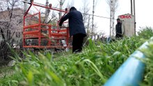 Karadeniz'de gördü, Van'da uyguladı