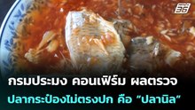 กรมประมง คอนเฟิร์ม ผลตรวจปลากระป๋องไม่ตรงปก คือ “ปลานิล” | จับข่าวคุย | 6 พ.ค. 69