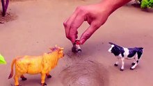 Village life