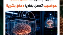 أجهزة إلكترونية تفكر مثلنا؟ حواسيب تعمل بخلايا دماغ بشرية