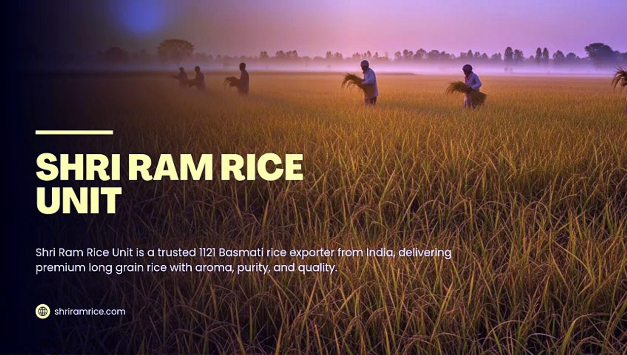 1121 Basmati Rice Exporter from India | Shri Ram Rice Unit