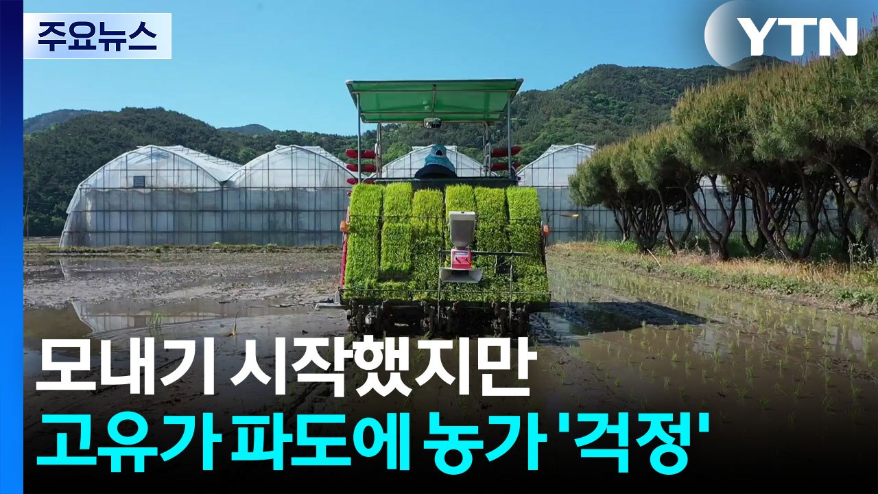 모내기 시작했지만...고유가 파도에 농가 '걱정' / YTN