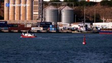 Así es el crucero que desembarcará en España con varios contagios por Hantavirus