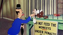Circus Today Merrie Melodies Cartoon full episode