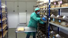 Clavijo rechaza que crucero con hantavirus haga escala en Canarias y pide reunirse con Sánchez