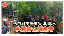 沙巴村民徒步3小时寻水 水源竟在鳄鱼场