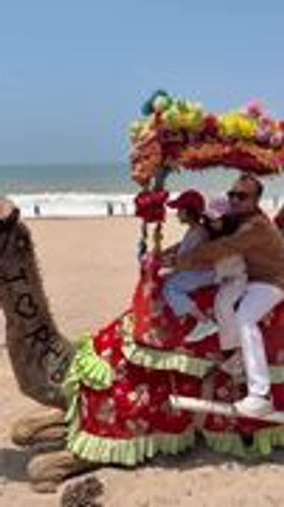Family Falls off Camel During Camel Gets Up