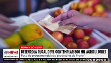 Mariana Grilli: Desenrola Rural deve atender 800 mil agricultores