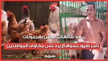 بعد شائعات الحقن بهرمونات.. تاجر طيور بسوهاج يرد على مخاوف المواطنين