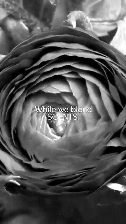 Buy Premium Fragrances Online -Long-Lasting Luxury Scents | Sennes